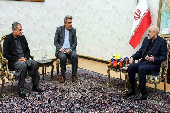Iranian_Speaker_Baqir_Qalibaf_meets_Mohsen_Naqvi_1779075571.jpg