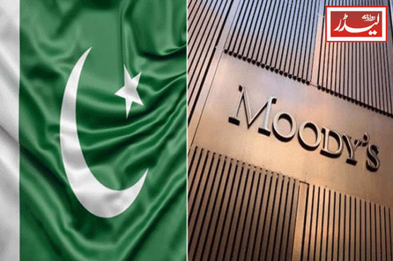 Moody's_1770637684.jpg