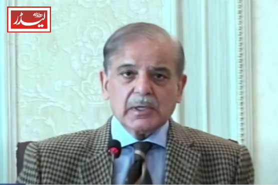 PM_shehbaz_sharif_1737458211.jpg