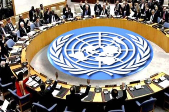 United_Nations_Security_Council_1777716178.jpg
