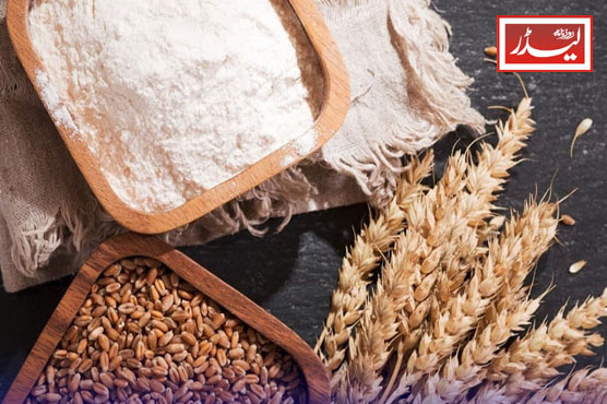 Wheat_1733743141.jpg