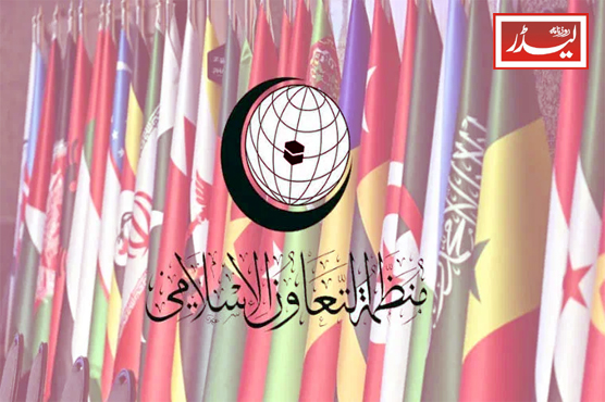 oic_1789552886.JPG