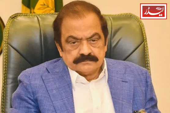rana_sana_1734084296.jpg